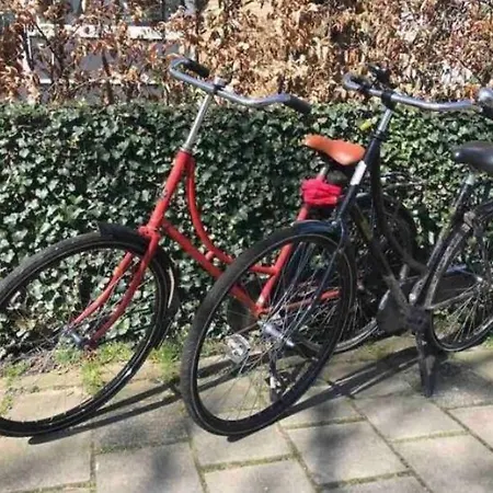 1-2 Pp Ams Airport Great View *