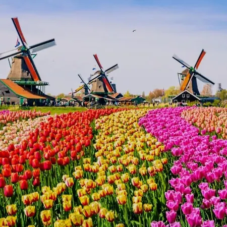 홈스테이 1-2 Pp Ams Airport Great View Roelofarendsveen