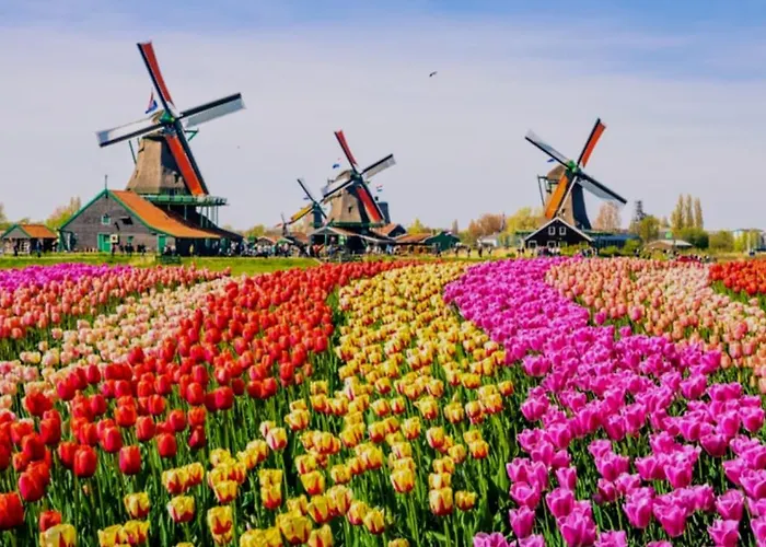 منزل للإقامة 1-2 Pp Ams Airport Great View Roelofarendsveen